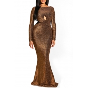 Lovely Sexy Long Sleeves Evening Gown Brown Floor 