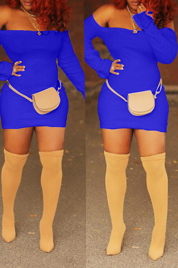 

Lovely Casual Long Sleeves Royalblue Blending Mini Dress
