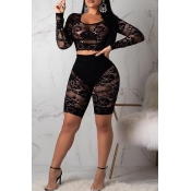Lovely Trendy See-through Black Lace Two-piece Sho
