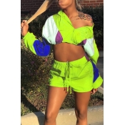 Lovely Casual Patchwork Green Two-piece Shorts Set