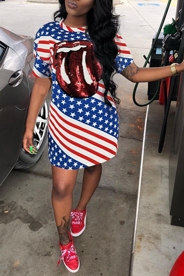 Lovely Independence Day Casual O Neck Printed Multicolor Mini Dress