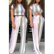 Lovely Leisure Striped Printed Purple Two-piece Pa