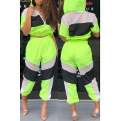 Lovely Trendy Patchwork Green Two-piece Pants Set