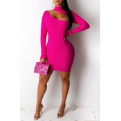 Lovely Stylish Hollow-out Rose Red Mini Dress