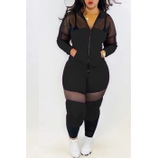 Lovely Casual Patchwork Black Two-piece Pants Set