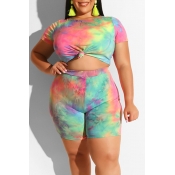 Lovely Casual Printed Multicolor Plus Size Two-pie