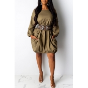 Lovely Casual Pockets Design Brown Mini Dress(With