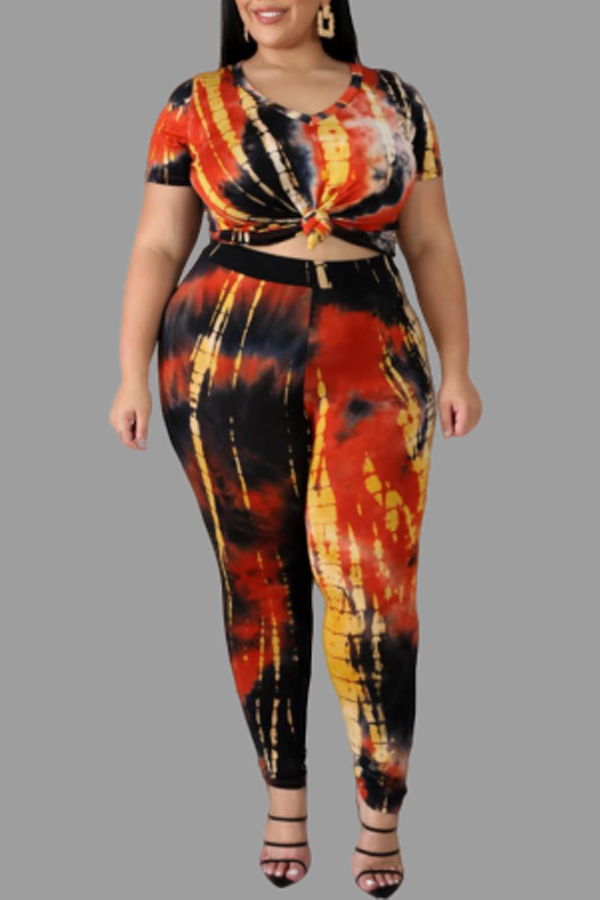

Lovely Chic Printed Multicolor Plus Size Two-piece Pants Set, Multi