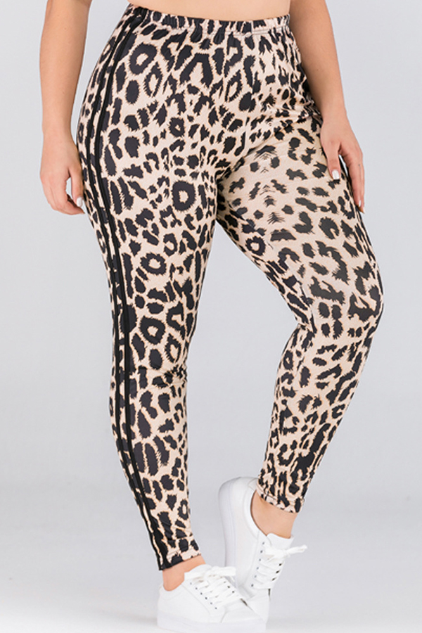 Cheap Plus Size Pants Lovely Casual Leopard Printed Plus Size Pants