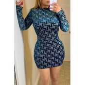 Lovely Casual Printed Blue Mini Dress