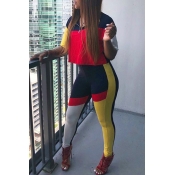 Lovely Casual Turndown Collar Patchwork Red Two-pi