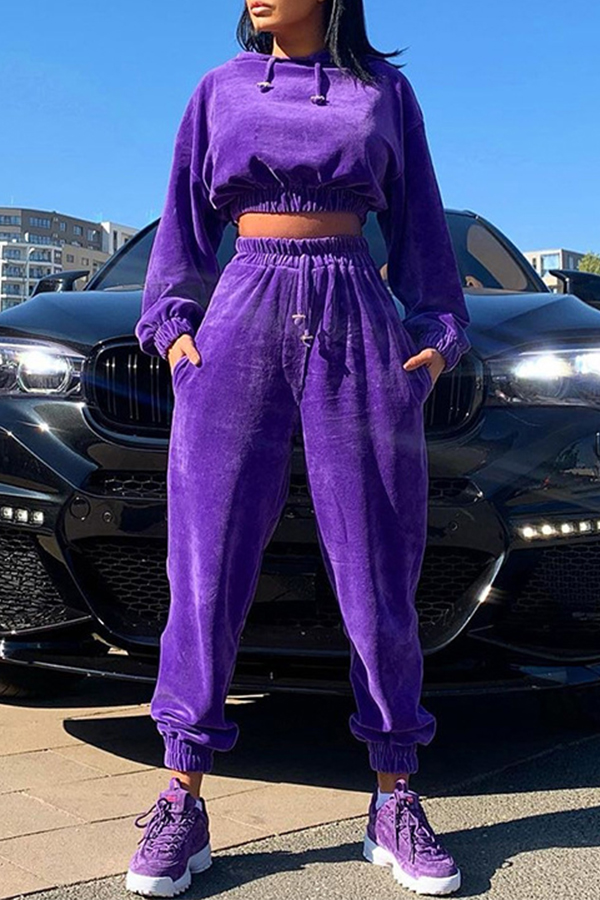

Lovely Casual Hooded Collar Crop Top Purple Two-piece Pants Set