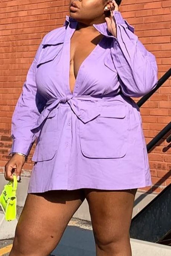

Lovely Casual Turndown Collar Purple Plus Size Mini Dress