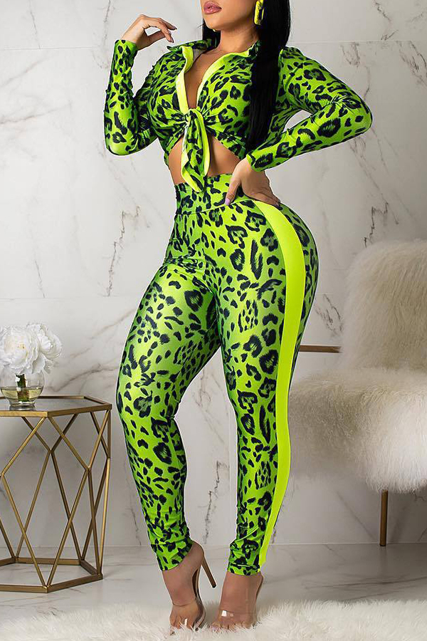 

Lovely Casual Turndown Collar Printed Green Two-piece Pants Set