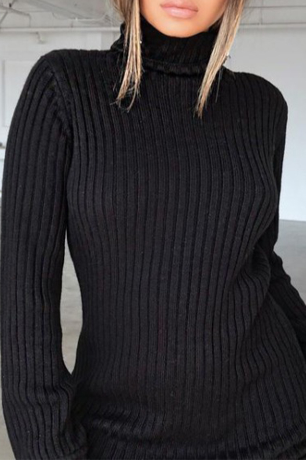 Lovely Casual Turtleneck Black Mini Dress