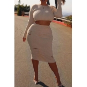 Lovely Casual Crop Top White Plus Size Two-piece S