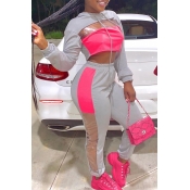 Lovely Casual Patchwork Grey Two-piece Pants Set