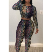 Lovely Trendy Printed Multicolor Two-piece Pants S