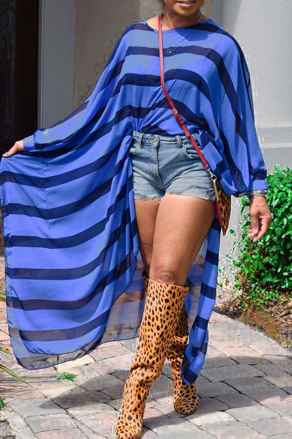 

Lovely Casual Striped Blue Blouse