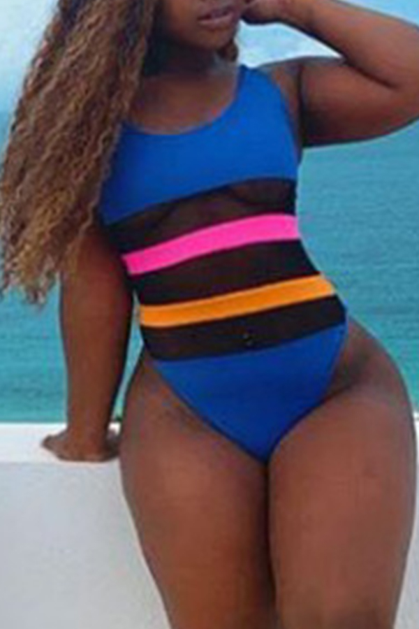 

Lovely Plus Size Patchwork Blue One-piece Swimsuit