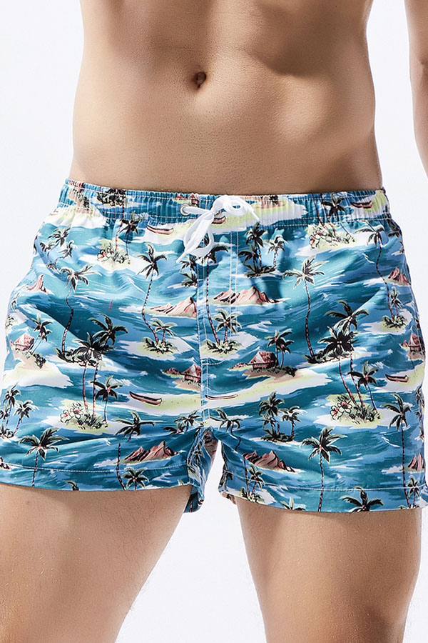 

Lovely Chic Print Blue Shorts