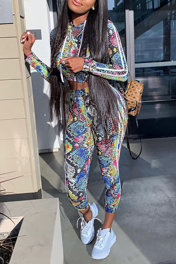 Lovely Chic Print Skinny Multicolor Two-piece Pants Set