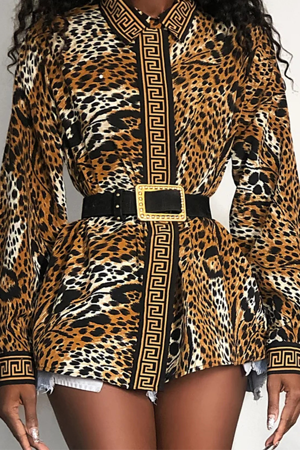 

Lovely Casual Leopard Print Blouse