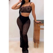 Lovely Sexy Patchwork Black Two-piece Pants Set