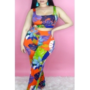 Lovely Trendy Print Multicolor Two-piece Pants Set