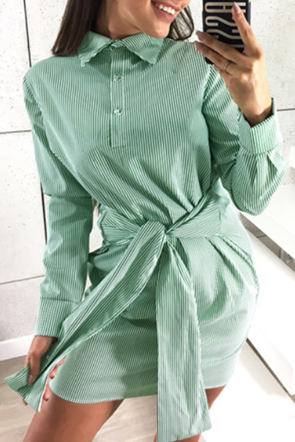 

Lovely Casual Striped Green Mini Dress