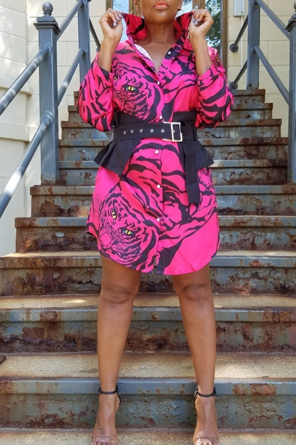 

Lovely Leisure Print Rose Red Mini Dress