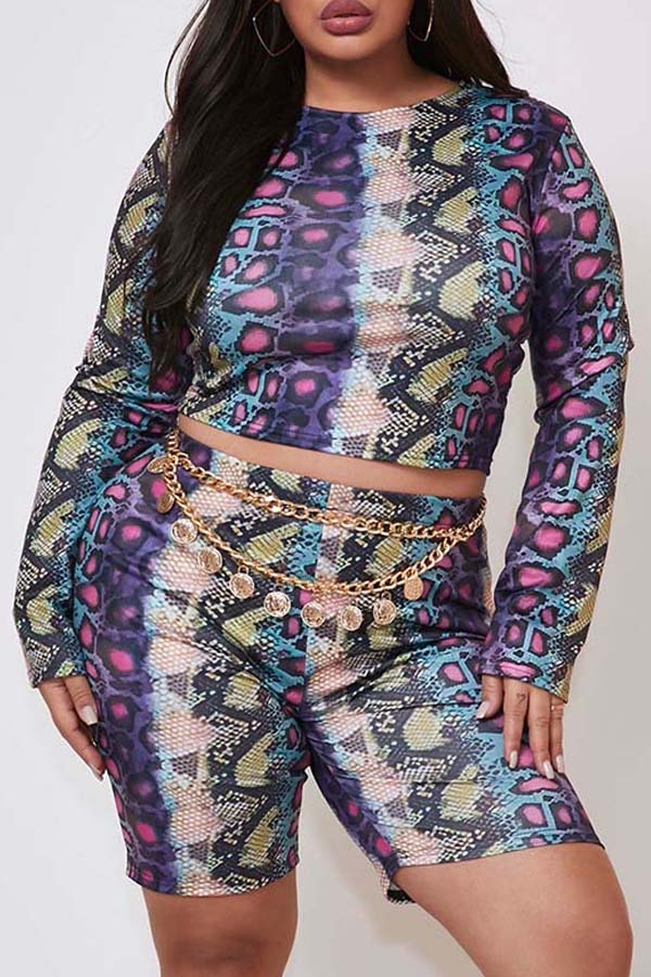 

Lovely Trendy Snakeskin Print Multicolor Plus Size Two-piece Shorts Set, Multi