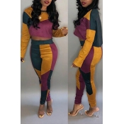 Lovely Leisure Patchwork Purple Two-piece Pants Se