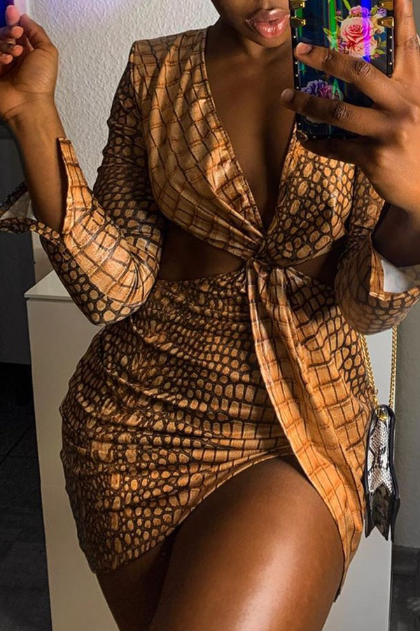 

Lovely Sexy Print Brown Mini Dress