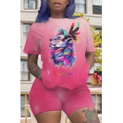 Lovely Casual Print Pink Two-piece Shorts Set