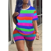 Lovely Casual Striped Multicolor Plus Size Two-pie