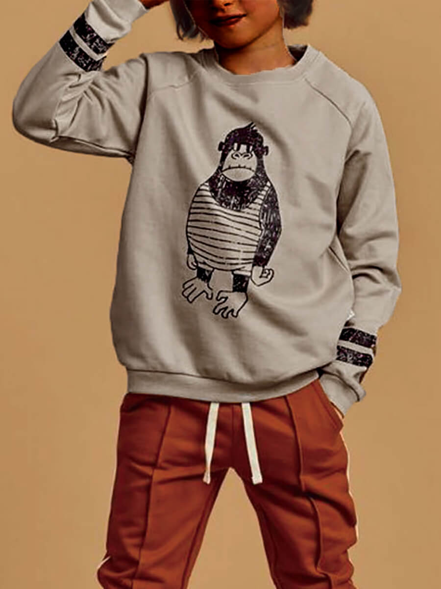 

Lovely Casual O Neck Print Grey Boy Hoodie