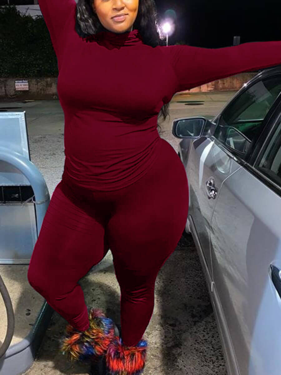 

Lovely Casual Turtleneck Basic Skinny Wine Red Plus Size Two-piece Pants Set