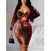 LW SXY Bateau Neck Animal Print Hollow-out Dress