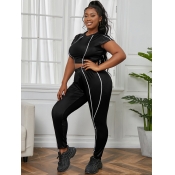 LW BASICS Plus Size Sporty Round Neck Striped Blac
