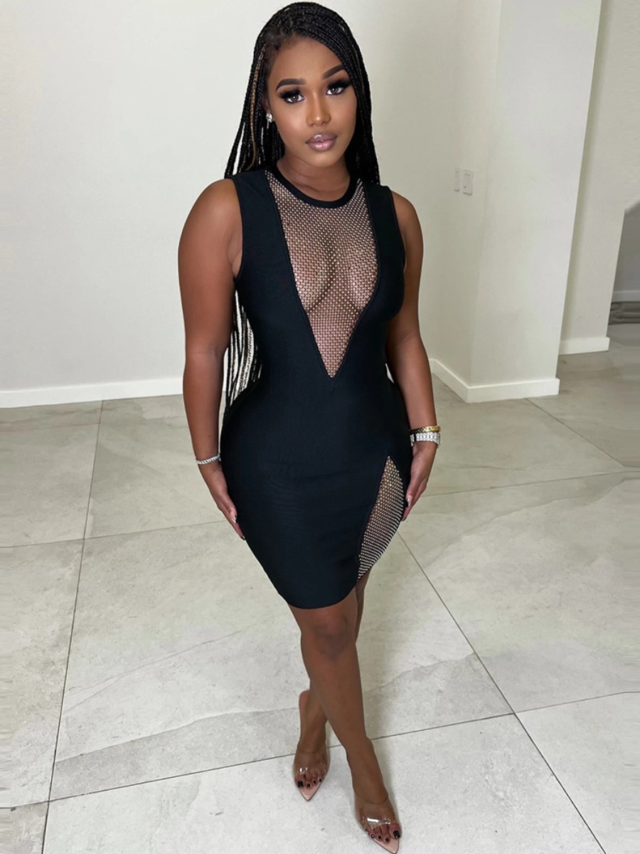 LW SXY Round Neck See-through Bodycon Dress