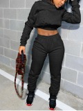 LW BASICS Casual Polyester Hooded Collar Solid Color Long Sleeve Two-piece Pants Set