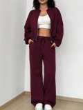 LW Casual Polyester Hooded Collar Zipper Design Solid Color Long Sleeve Two-piece Pants Set